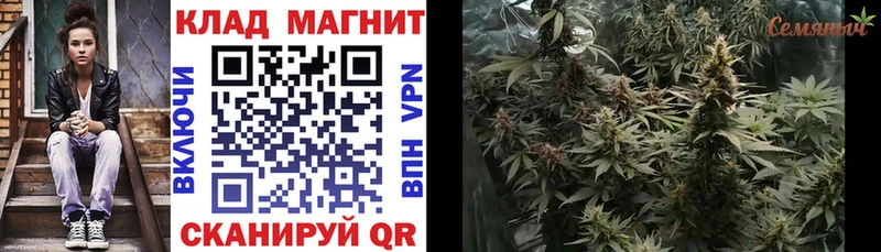 Купить закладку СОЛЬ Бошки Шишки Галлюциногенные грибы MDMA КОКАИН Мефедрон ГАШ Суворов