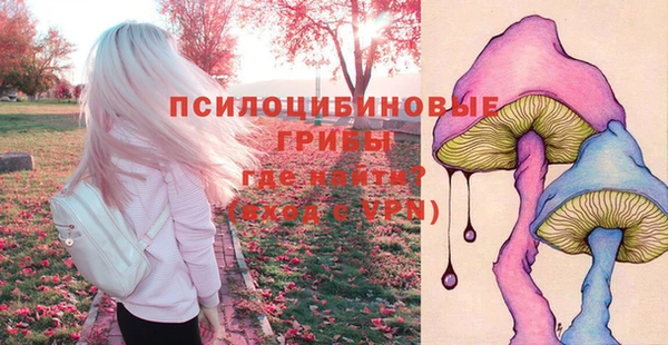ECSTASY Струнино