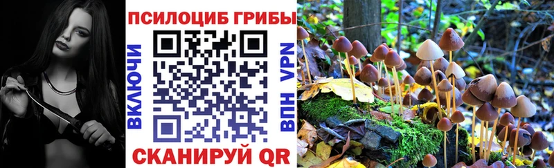 Купить закладки  Суворов  Псилоцибиновые грибы мицелий 