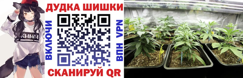 Купить закладки  Суворов  МАРИХУАНА гибрид 